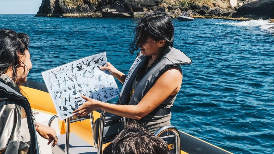 Vila Franca Islet: Bioligist Guided 0% Carbon e-Boat Tour - Wildlife Viewing: Birds, Fish, and the Seasonal Lightfoot Crabs