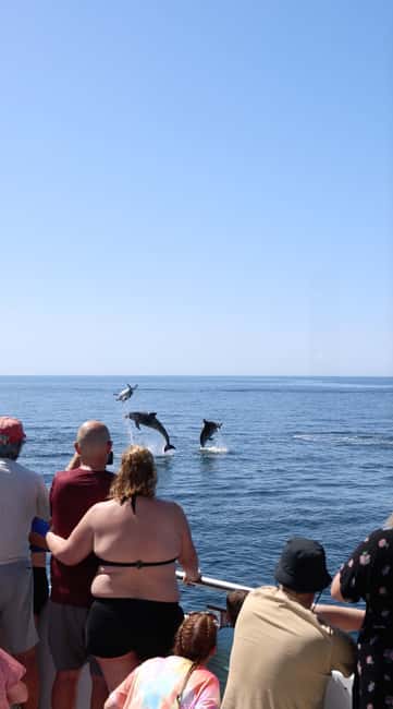 Vilamoura: Boat Tour Dolphin Quest & Marine Life Search - Key things I liked on the Dolphin Quest boat tour