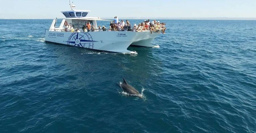 Vilamoura: Boat Tour Dolphin Quest & Marine Life Search - Vilamoura start point: finding O’Neills without stress