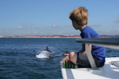 Vilamoura: Boat Tour Dolphin Quest & Marine Life Search - The catamaran experience: comfortable for kids, seniors, and mobility needs