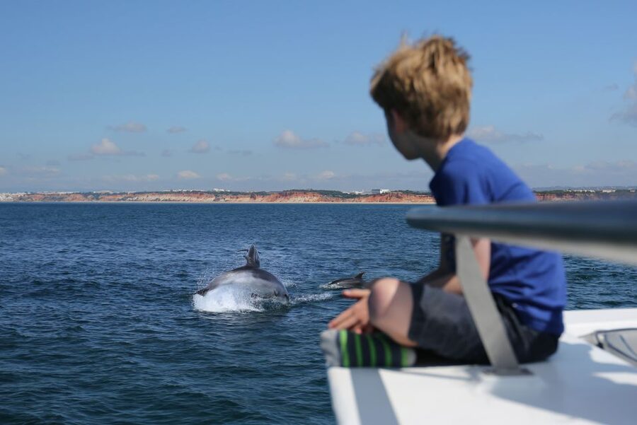 Vilamoura: Boat Tour Dolphin Quest & Marine Life Search - The catamaran experience: comfortable for kids, seniors, and mobility needs
