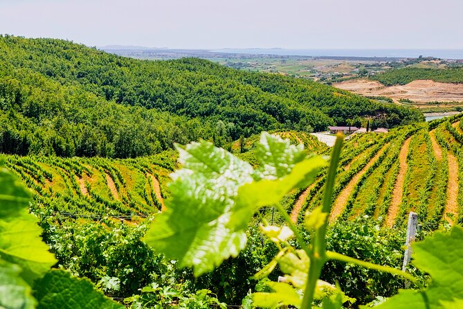 Vineyards, Albanian Wine Tasting & Boat Tour from Tirana/Durres - Wine and raki near Durres: why this area works