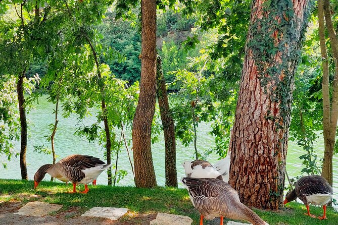 Vineyards, Albanian Wine Tasting & Boat Tour from Tirana/Durres - The people factor: guides and what to do if you want more detail