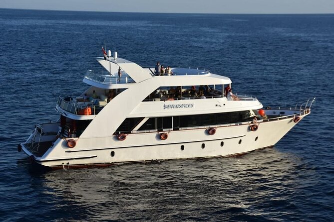 VIP Ras Mohamed and White Island boat trip - Key highlights you’ll feel during the day