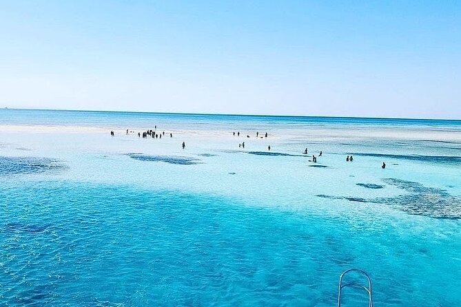 VIP Ras Mohamed and White Island boat trip - Ras Mohamed and White Island: why this day feels special