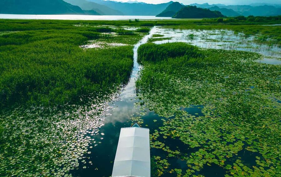 Virpazar: Private & Group Guided Lake Skadar Boat Tour - Birdwatching equipment and why the captain matters