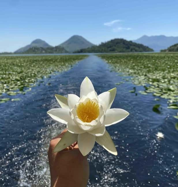 Virpazar: Skadar Lake National Park Guided Boat Tour - Getting Oriented at Boat Cruise Viktor in Virpazar