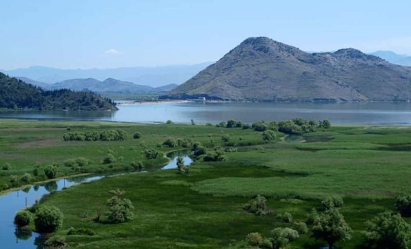 Virpazar: Skadar Lake National Park Guided Boat Tour - Water Lilies, White Lotuses, and the Pause for Panoramic Photos