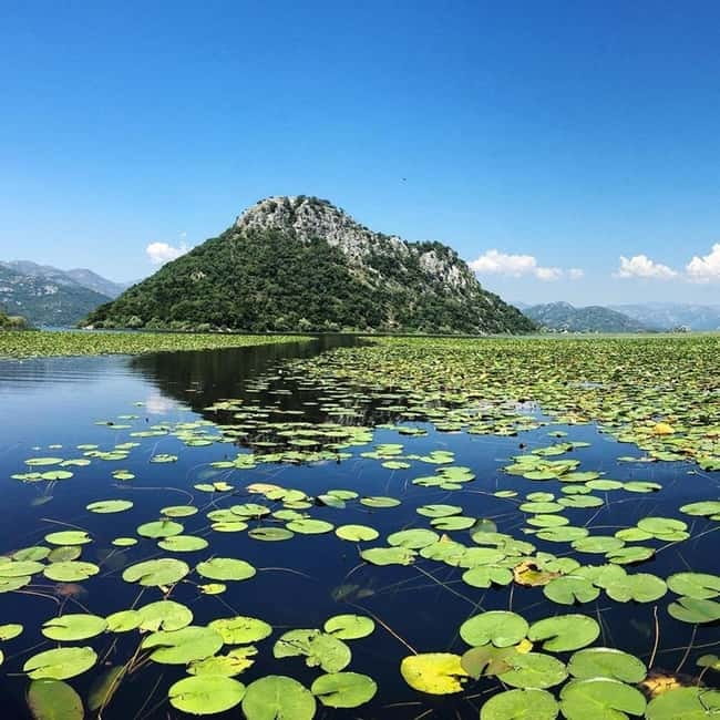 Virpazar: Skadar Lake National Park Guided Boat Tour - Three Islands Loop: Mala and Velika Cakovica, plus Kamenik