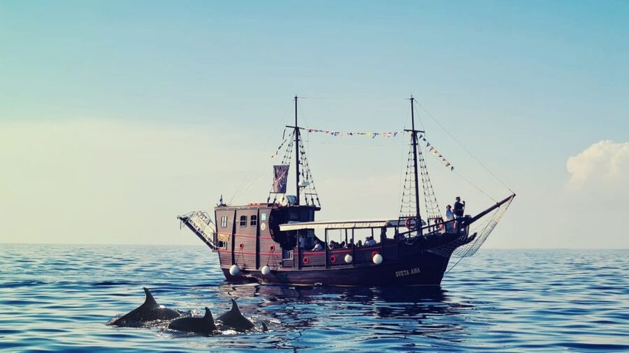 Vrsar: Dolphin Watching Boat Ride - Practical Tips for a Smooth Dolphin Boat Ride