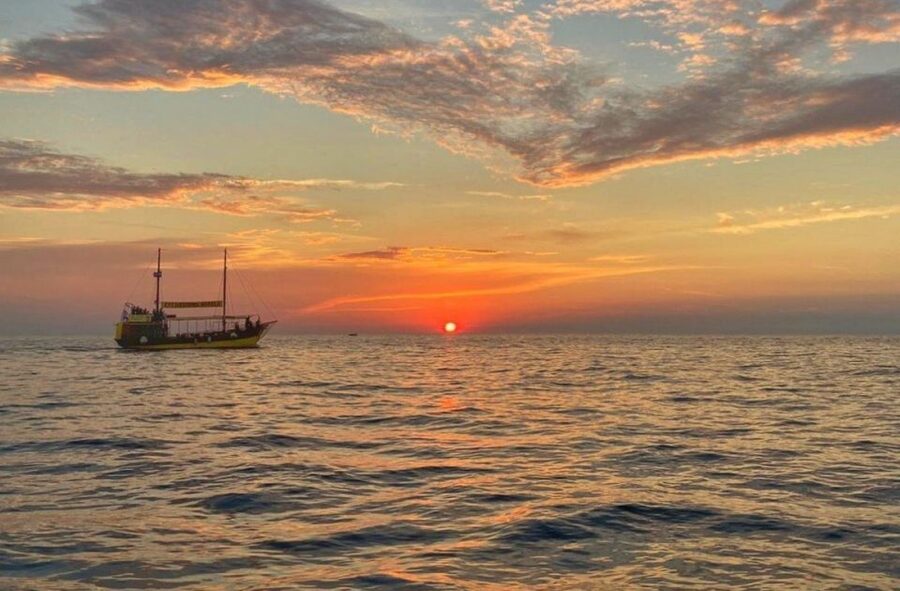 Vrsar: Dolphin Watching Boat Tour including Drinks - Key points to know before you go