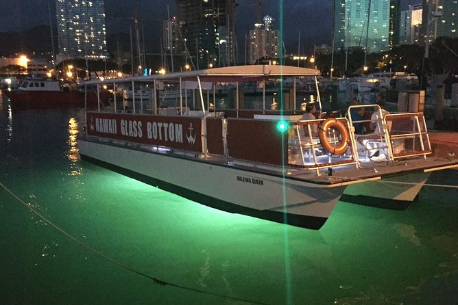Waikiki Glass Bottom Boat Tour - The glass-bottom reality check: how the viewing actually works