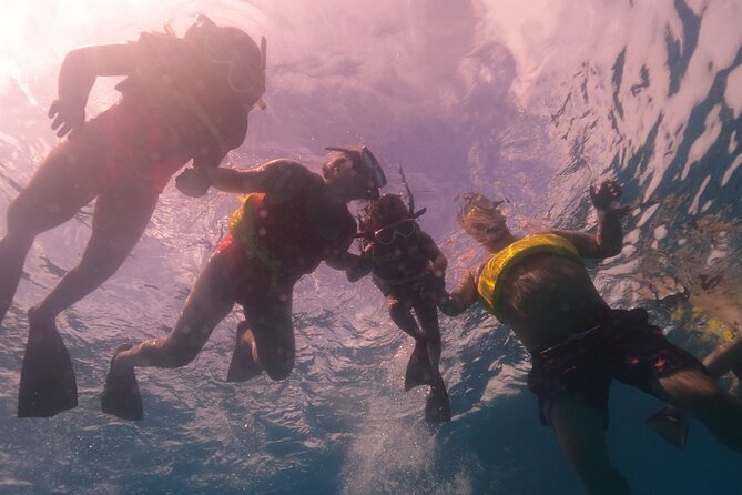 Waikiki: Turtle Canyon Snorkel - Crew and Safety: What the Best Reviews Are Really Praising
