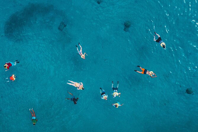 Waikiki: Turtle Canyon Snorkel - Price and Value: Is $68.60 Fair for Two Hours?