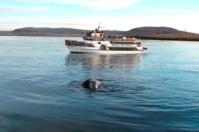 Whale-Watching Boat Tour with Expert Guide from Reykjavik - Weather and sea conditions: plan like an Icelander
