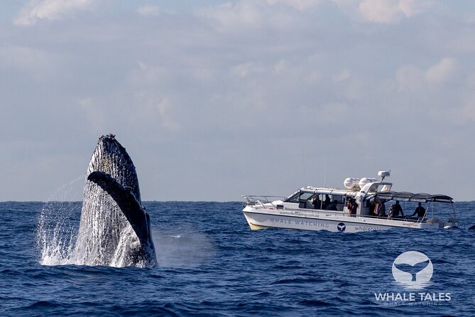 Whale Watching Boat Trip in Sydney - Darling Harbour to the Opera House: the views you get before the whales