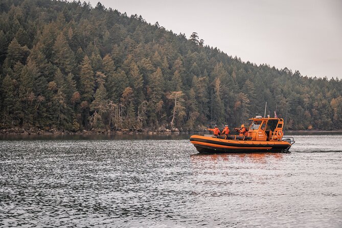 Whale Watching Nanaimo Open Boat Tour - Key highlights that make this tour worth your time