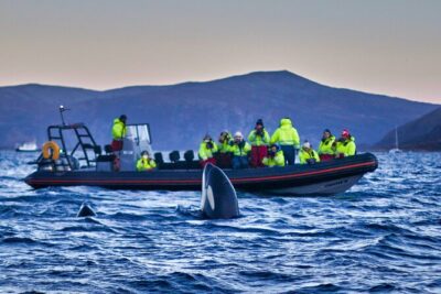 Whale Watching RIB Boat Tour in Skjervoy from Tromso - The Drive to Skjervøy: Long Hours, Build Your Comfort