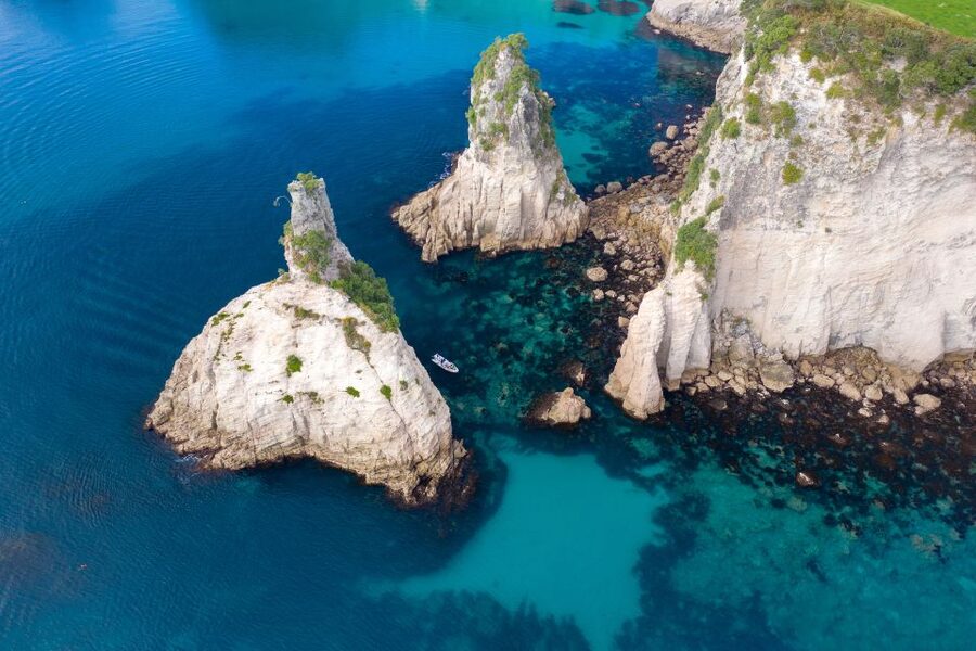 Whitianga: Cathedral Cove Thrilling Boat Tour and Snorkeling - Key things I’d plan around