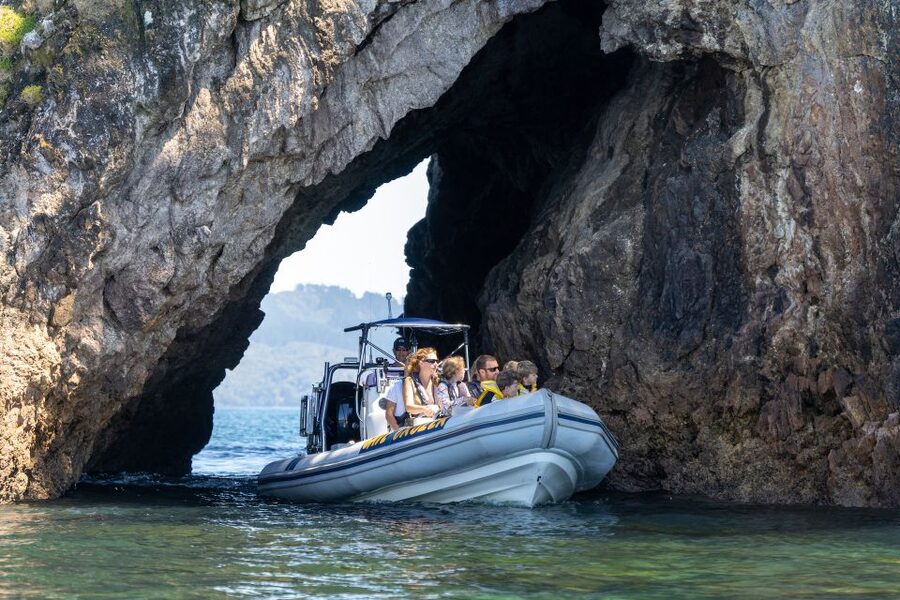 Whitianga: Cathedral Cove Thrilling Boat Tour and Snorkeling - Fast Boats, Tight Caves: The Whitianga Feel in Two Hours