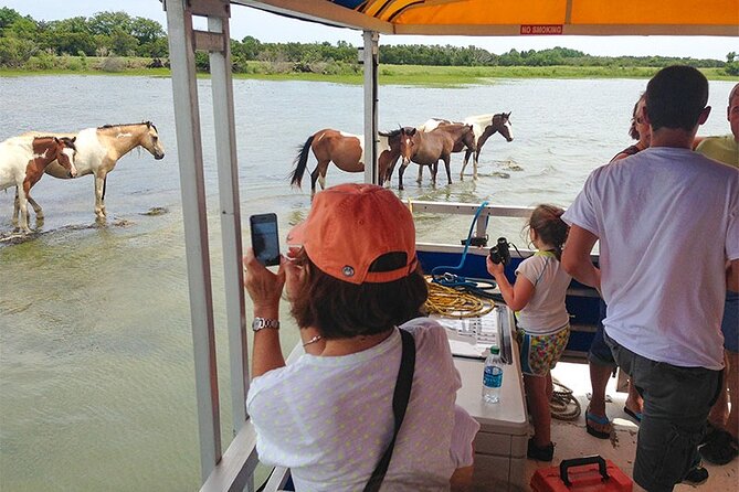 Wild Pony Watching Boat Tour from Chincoteague to Assateague - Boat Comfort and Views: Pontoon Seats, Spray, and Angles