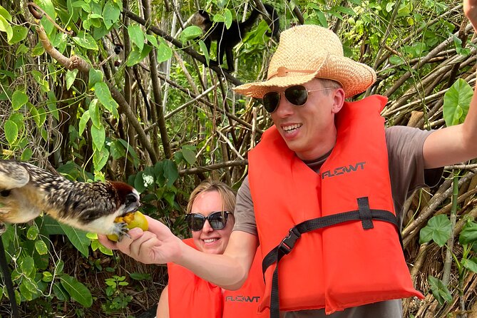 Wildlife Boat Tour in the Panama Canal Lake - Wildlife spotting tips that actually help on this lake