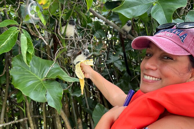 Wildlife Boat Tour in the Panama Canal Lake - The Lake Gatun boat ride: monkeys, sloths, bats, and alligators