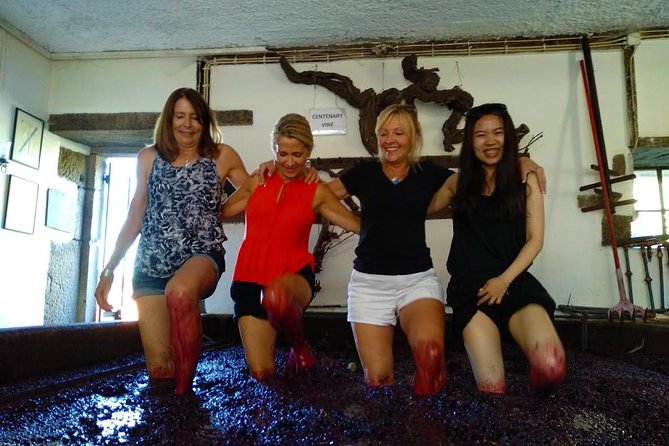 Wine Venture and Boat Trip in Douro Valley from Porto - Peso da Régua lunch: wine pairing that earns the appetite