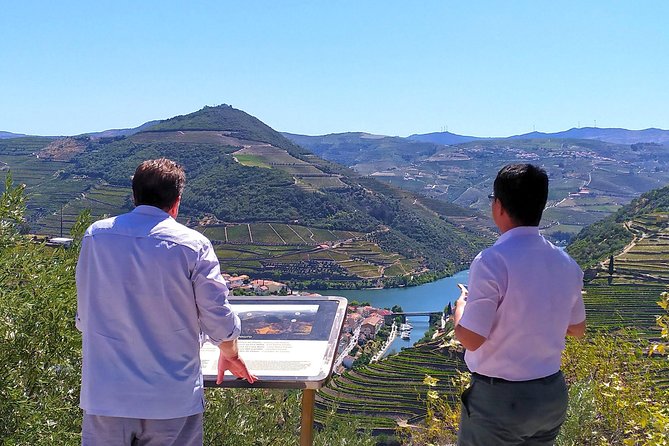 Wine Venture and Boat Trip in Douro Valley from Porto - What you’re paying for: value beyond the tasting count