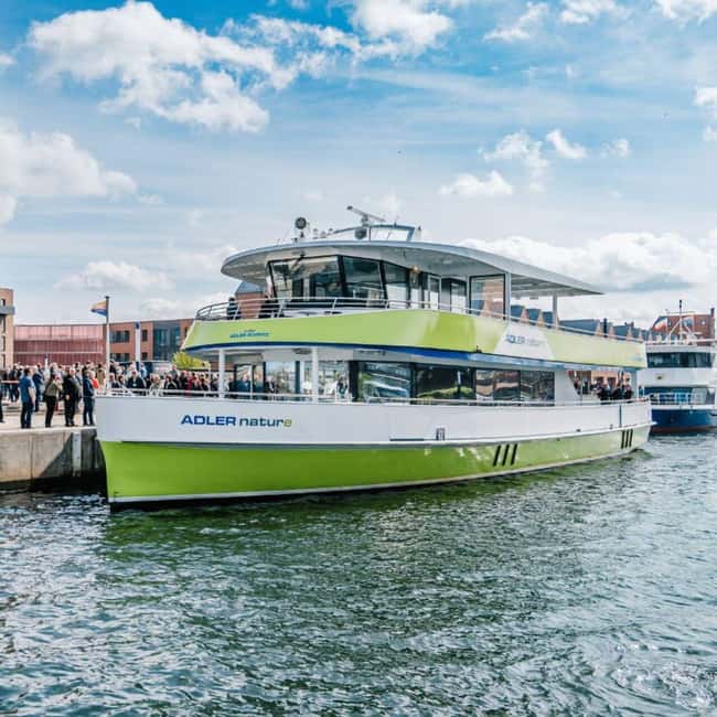 Wismar: Electric Boat Tour past Whale Island with Poel Stop - Whale Island views without the landing: what you’ll actually get