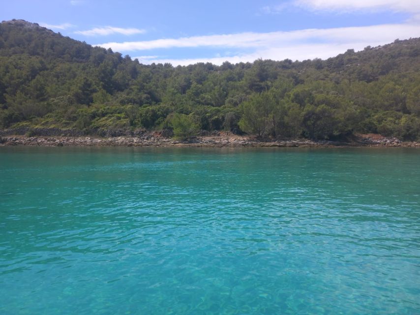 Zadar: Boat tour Half day -Private - How the 5 Hours Usually Feels: Pace, Time at Water, and Seat Comfort