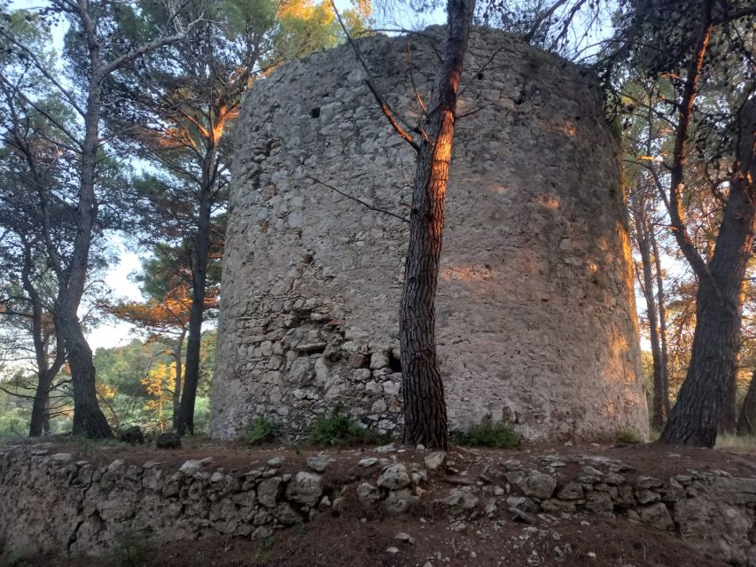 Zadar: Boat tour Half day -Private - Who This Tour Fits Best