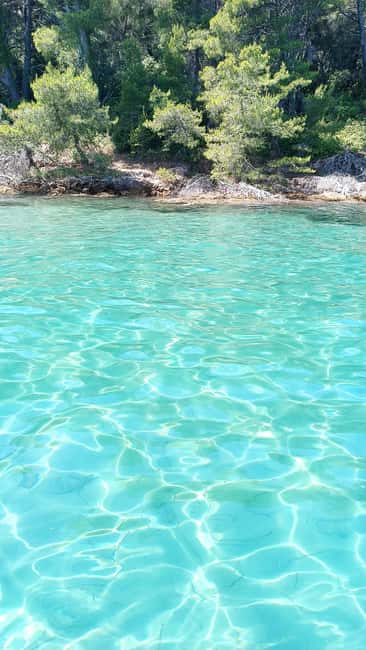 Zadar: Three Islands Private Boat Tour - Meeting at Port Foša (Ul. kralja Dmitra Zvonimira 6): what to expect before you sail