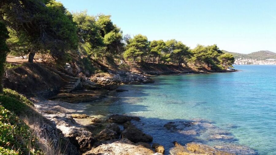 Zadar: Ugljan, Ošljak and Školjić Islands Private Boat Tour - Snorkeling in the Adriatic: How to Get the Most from Included Masks