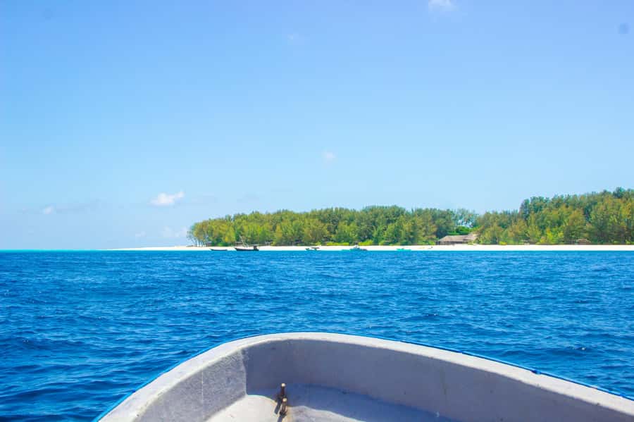 Zanzibar: Mnemba island Snorkeling & Boat Tour with Lunch - Lunch, tropical fruit, and regional food on the water