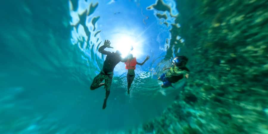 Zanzibar: Mnemba island Snorkeling & Boat Tour with Lunch - Dolphins may appear, and that changes the vibe