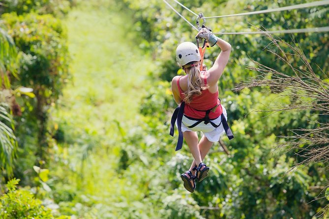 Zipline Canopy Tour & Tortuguero Canal Boat tour. Shore Excursion from Limon - Key Highlights You’ll Actually Feel