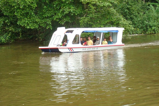 Zipline Canopy Tour & Tortuguero Canal Boat tour. Shore Excursion from Limon - Tortuguero Canal Boat Ride: Rainforest Life Up Close